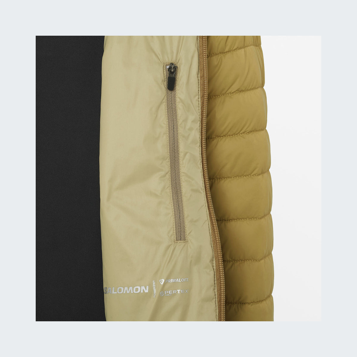 Gray Green/Brilliant Olive