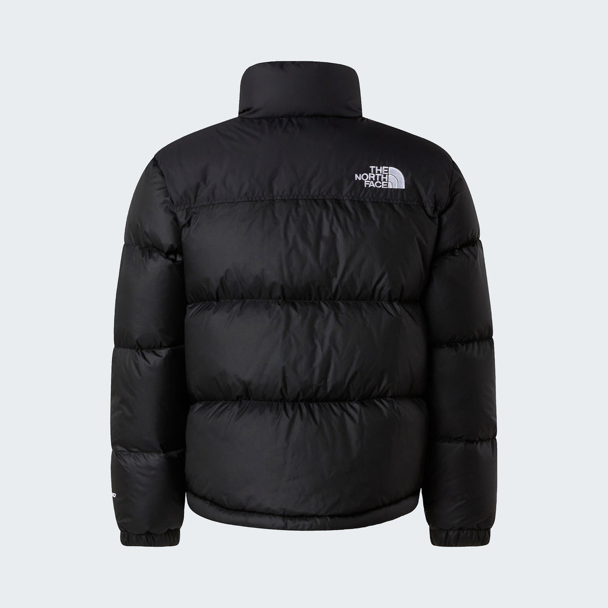 TNF Black/TNF Black/Recycled Down