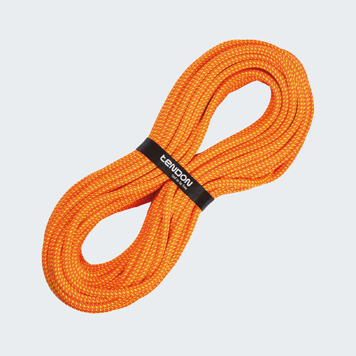 Bright Orange