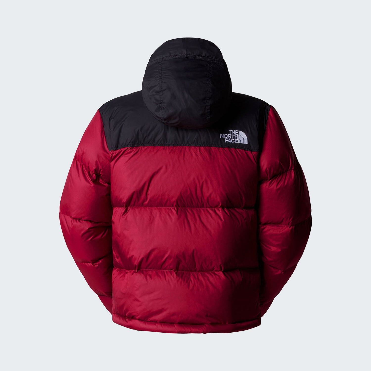 Beetroot/TNF Black