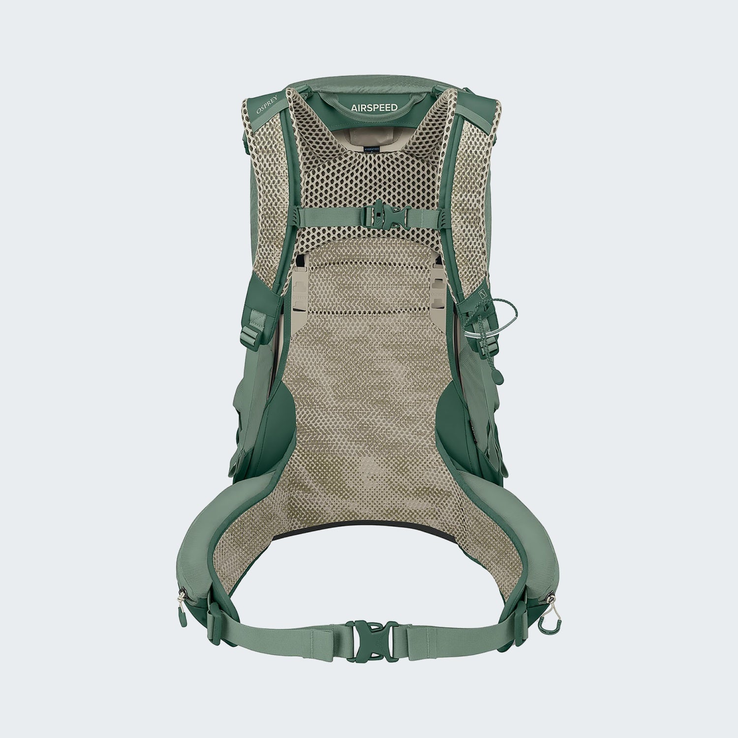 Pine Leaf Green