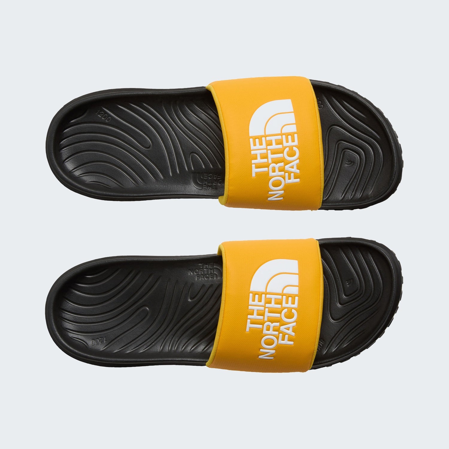 Summit Gold/TNF Black