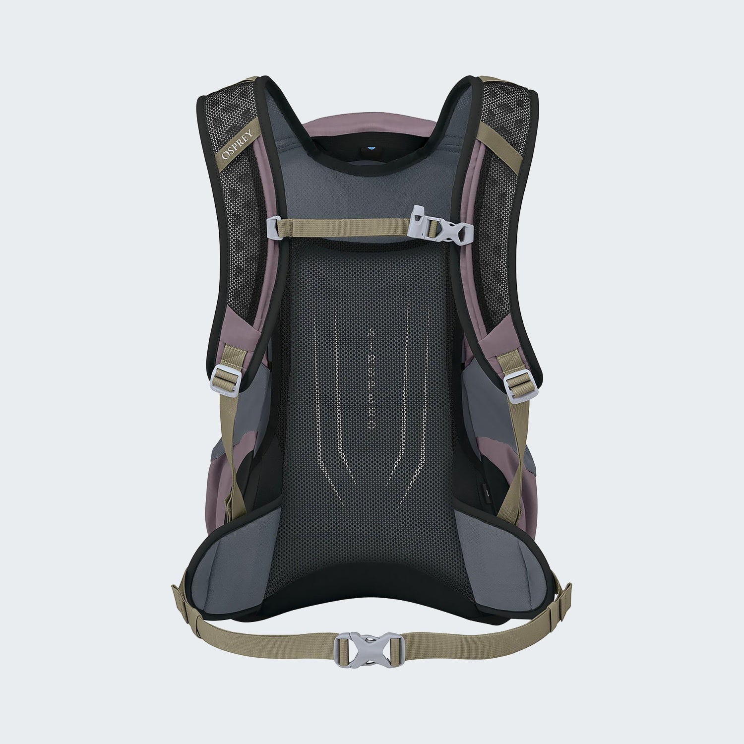 Graphite Purple
