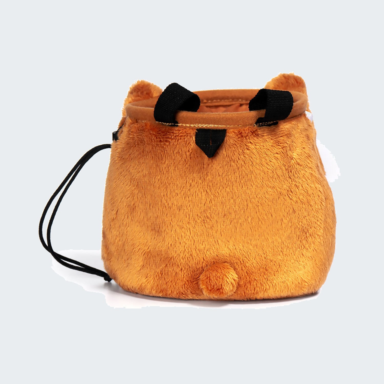Shiba Inu