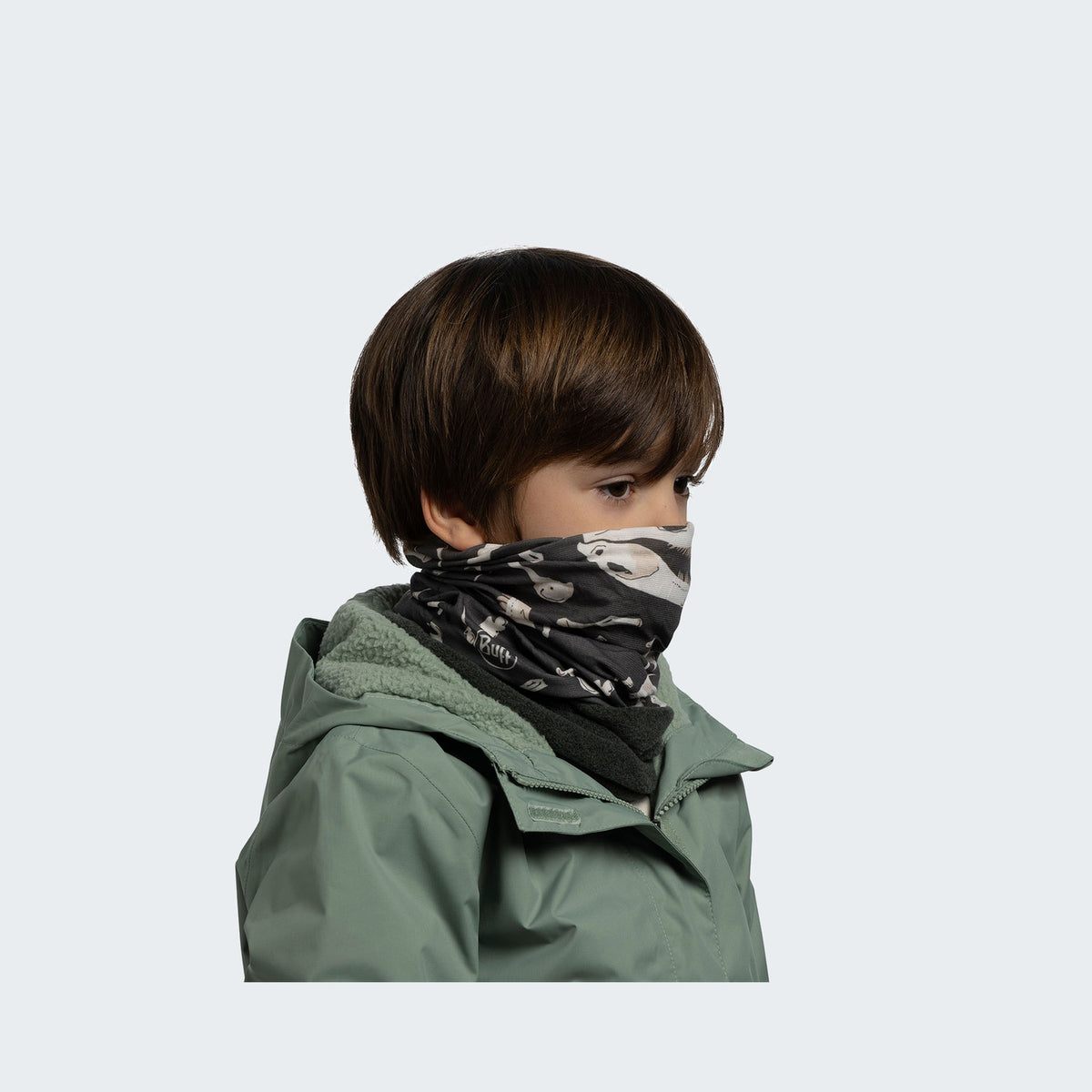 Dinochi Grey