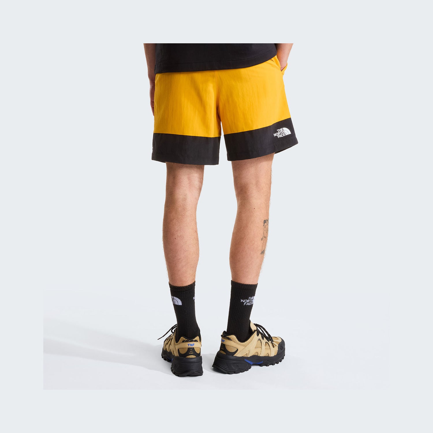 Summit Gold/TNF Black