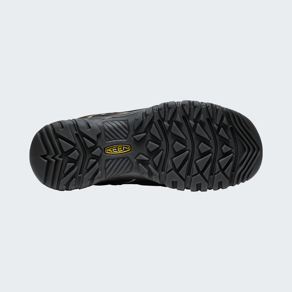 Bison/Black