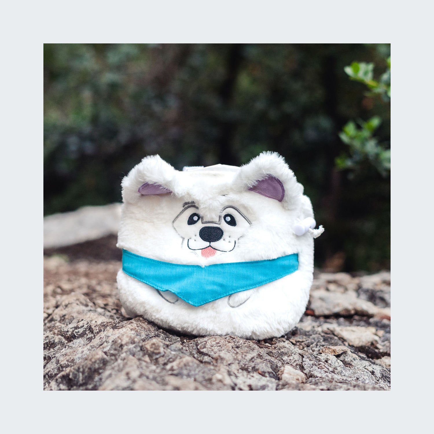 Samoyed