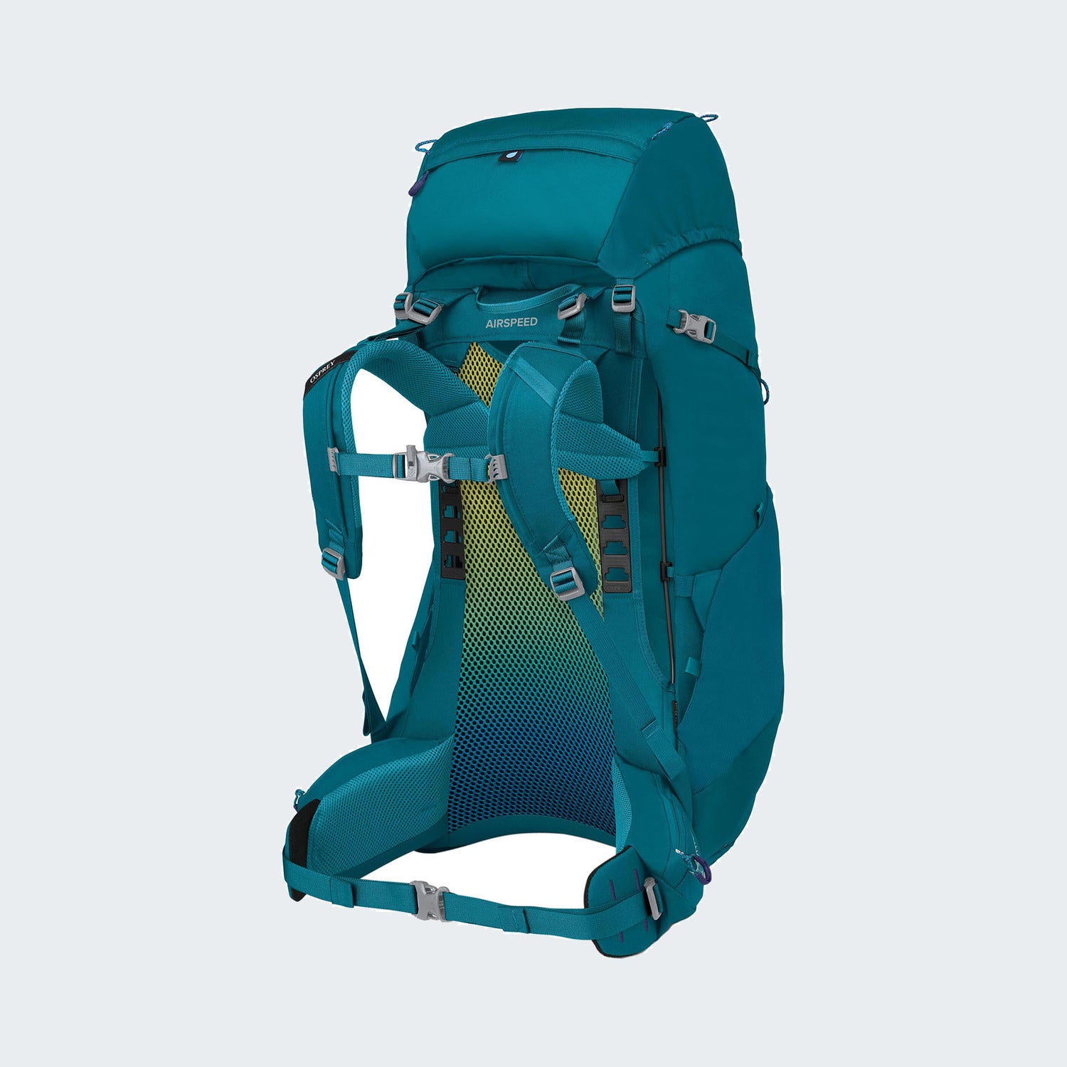 Blue Spikemoss Deep Peyto