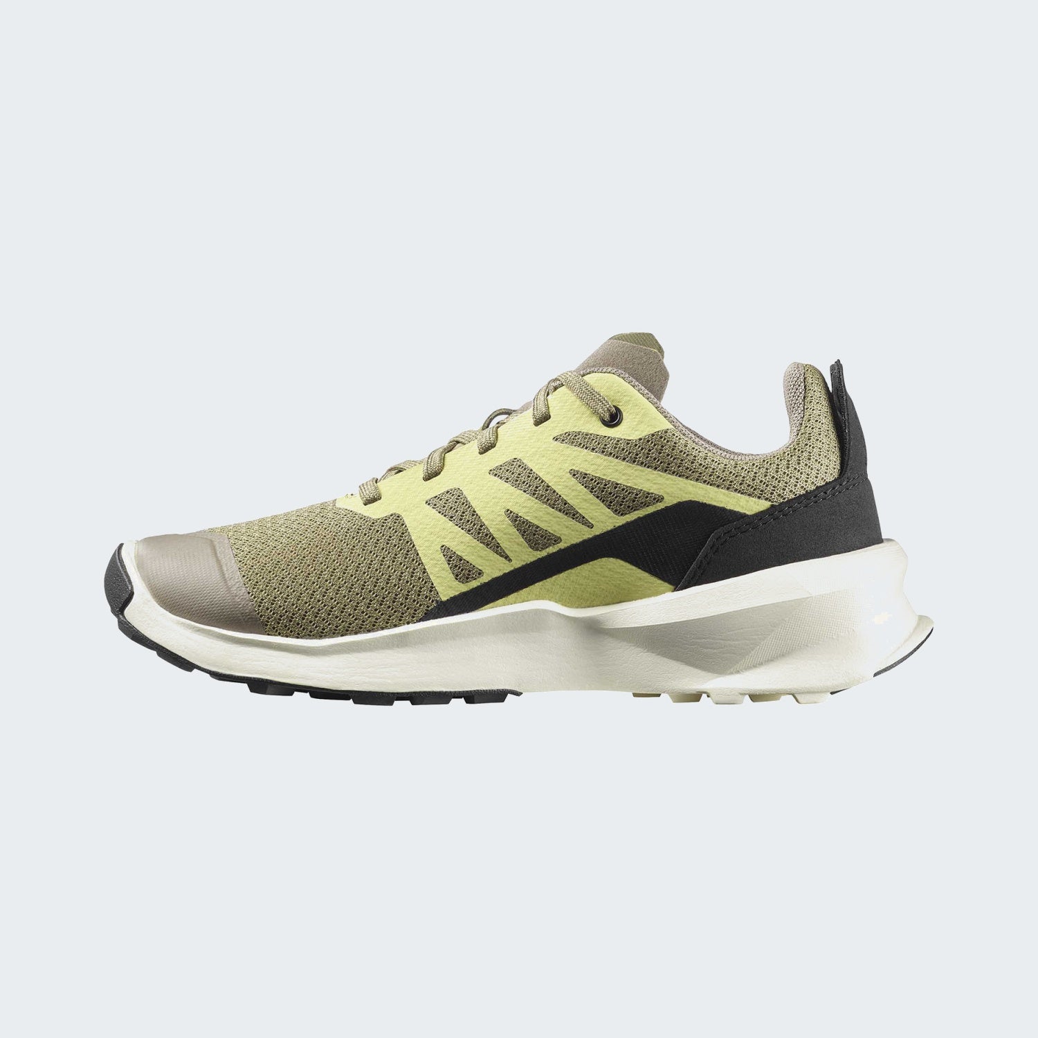 Aloe/Endive/Black