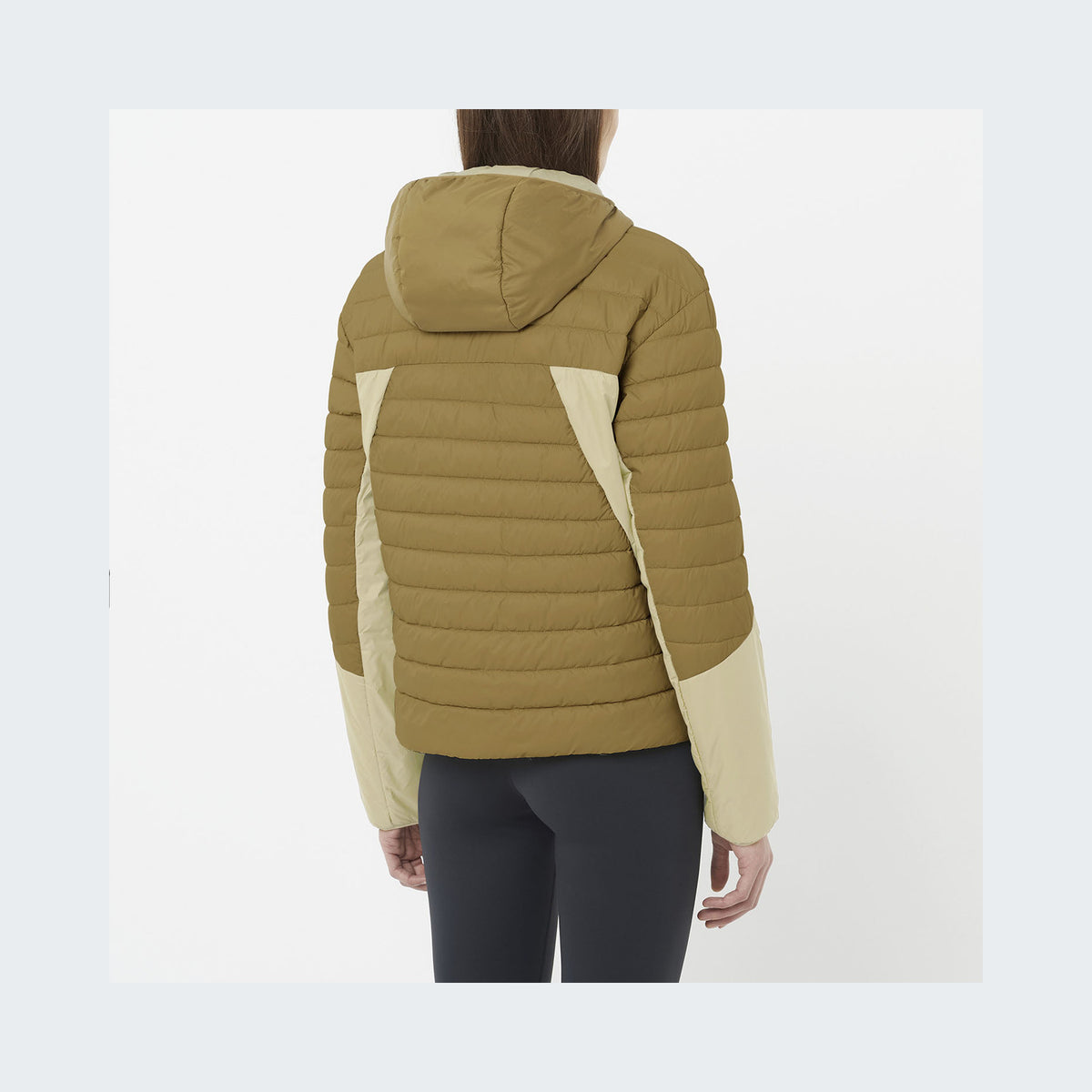 Gray Green/Brilliant Olive