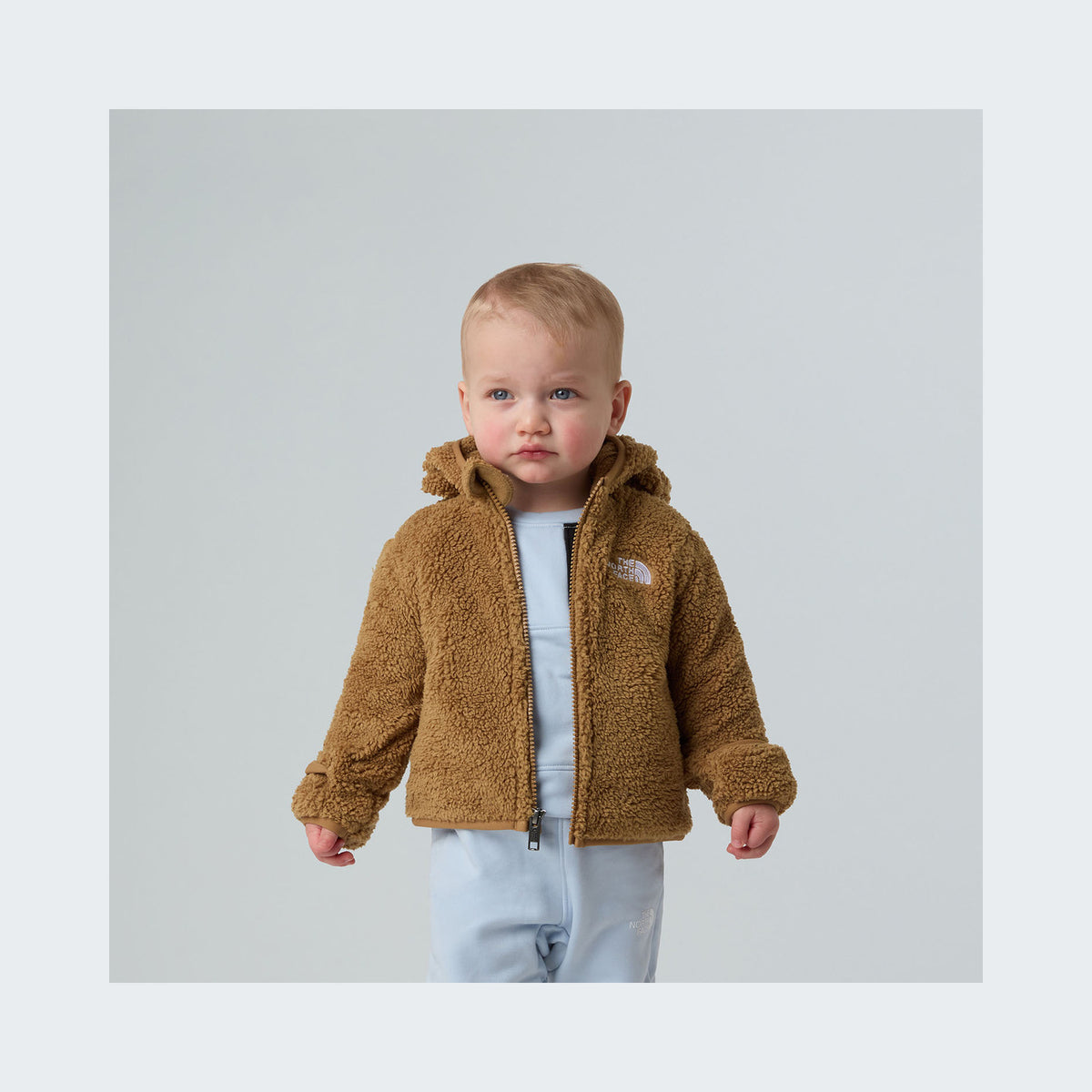 Teddy Brown