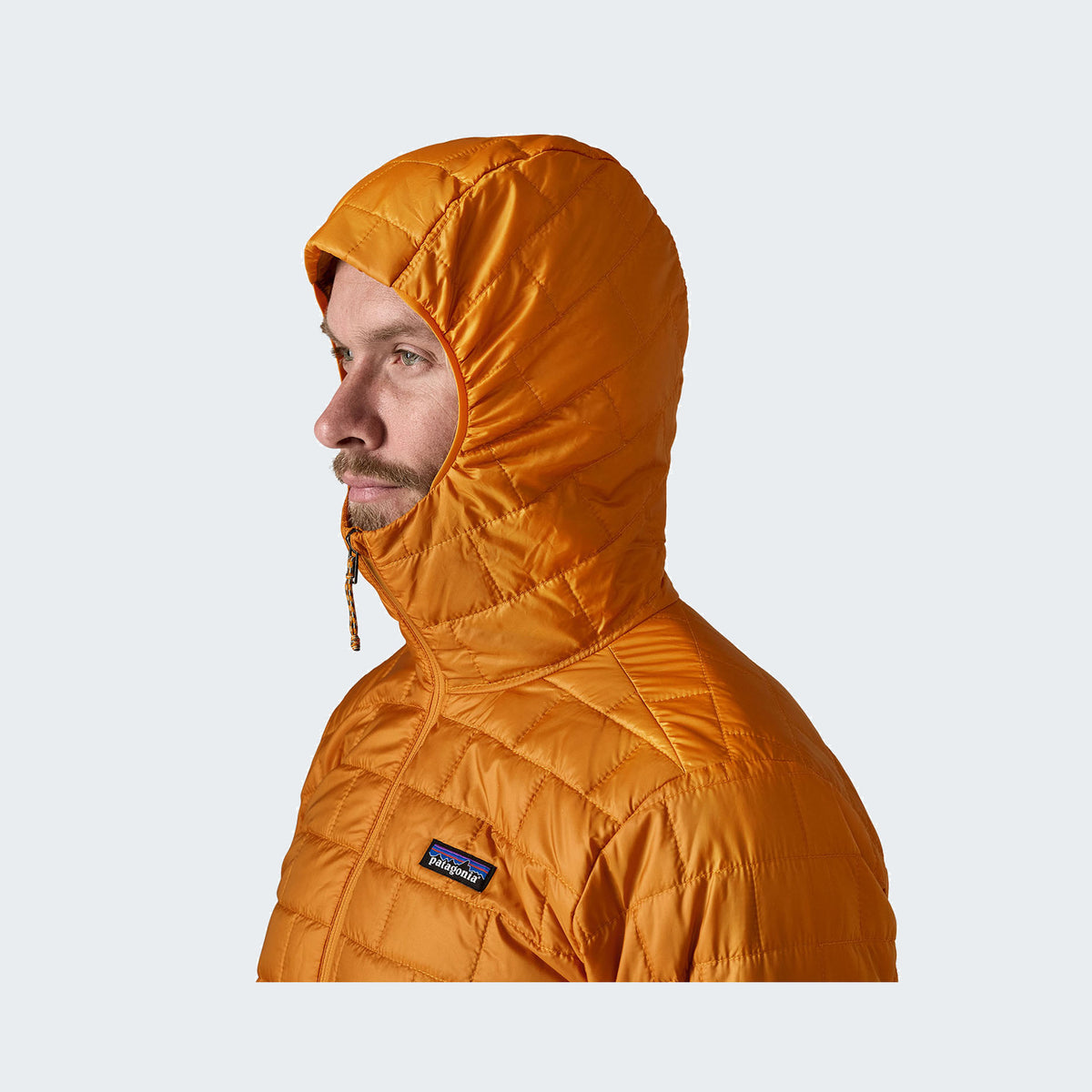 Autumn Orange