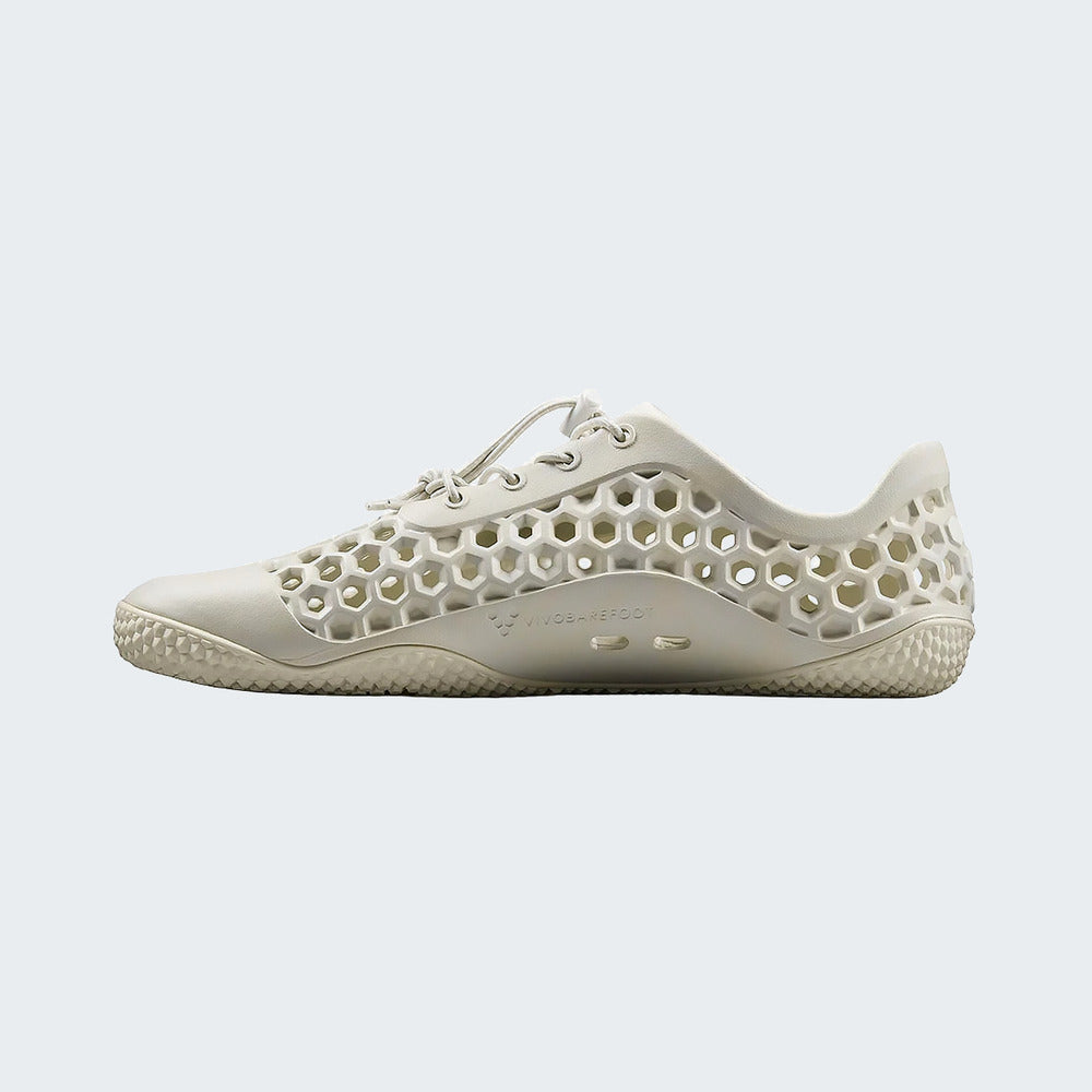Lunar Rock