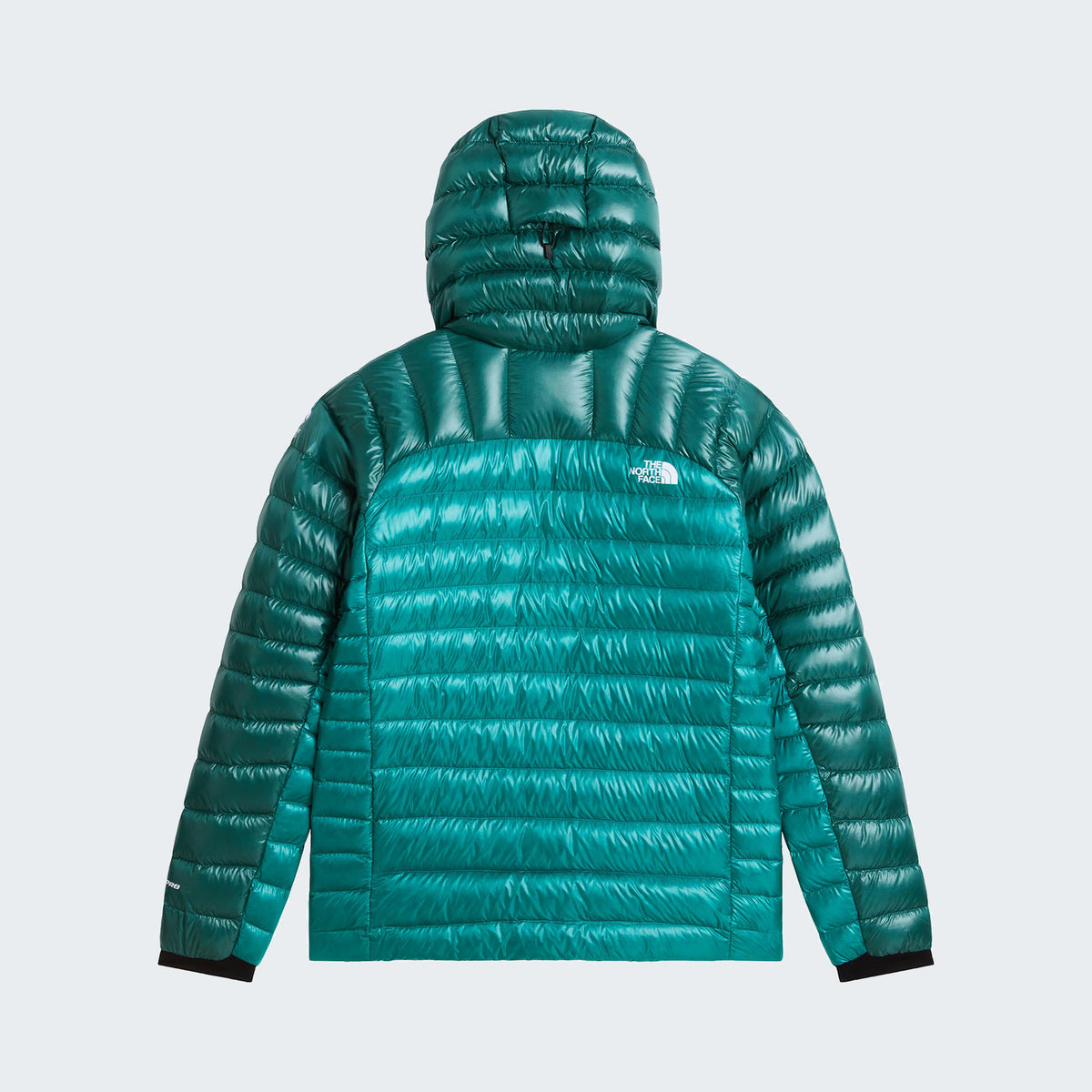 Restorative Teal/Pacific Teal