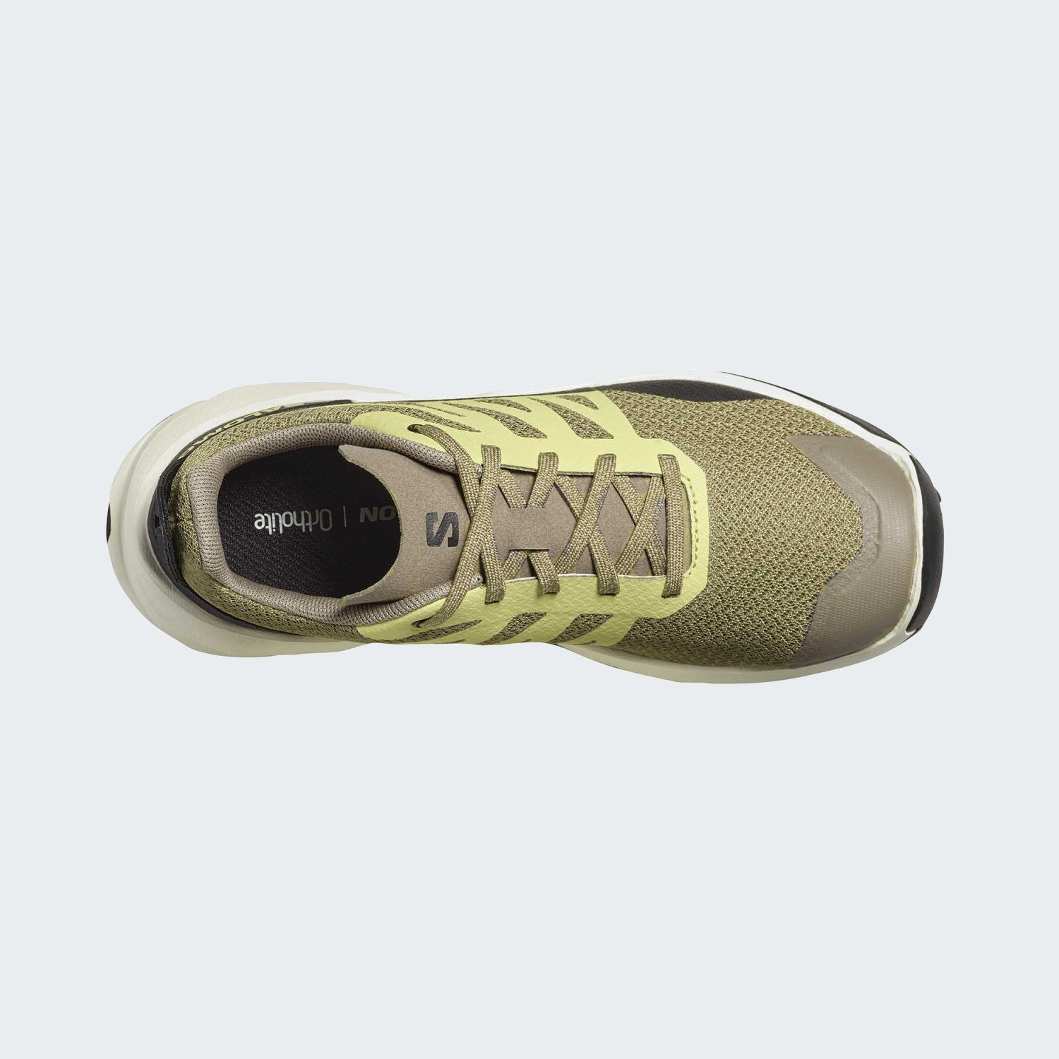 Aloe/Endive/Black