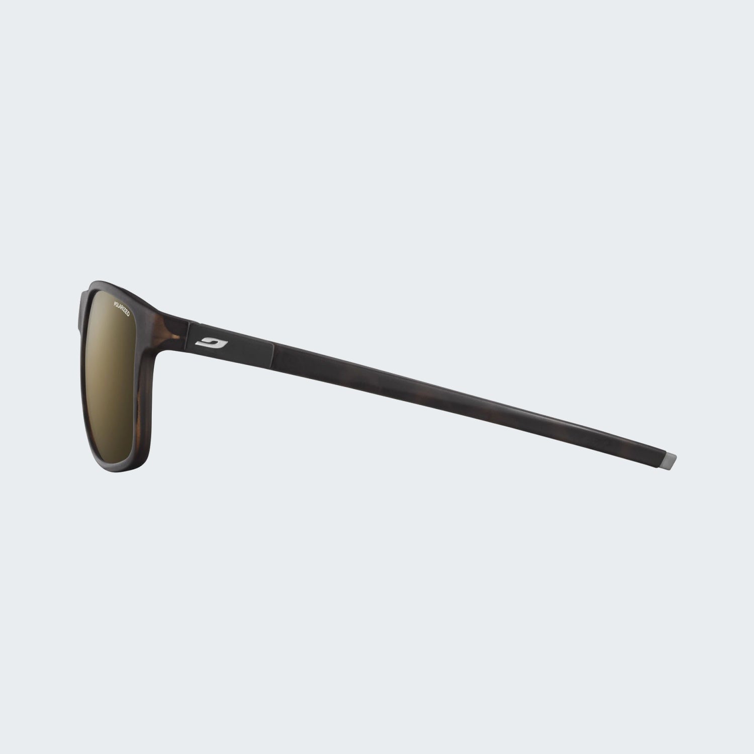 Tortoise Brown