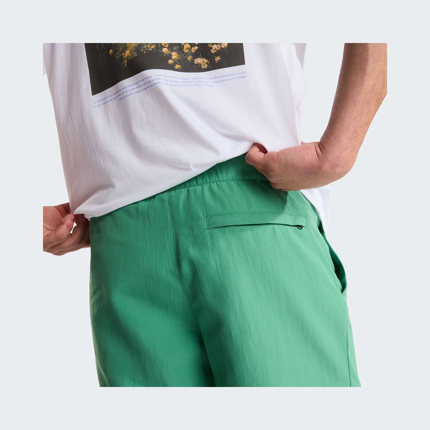 Dimmed Algae/TNF Black