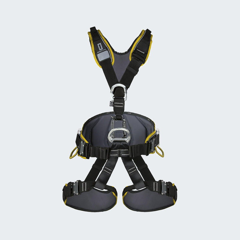 Black/Yellow