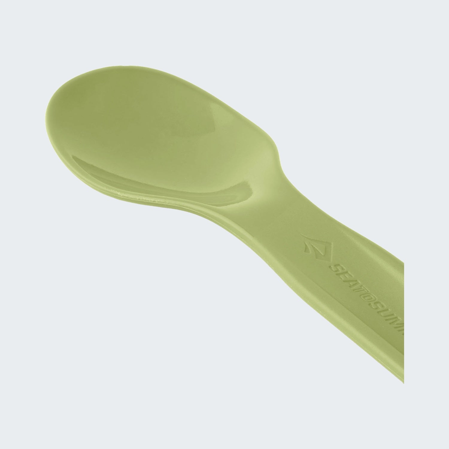 Tarragon