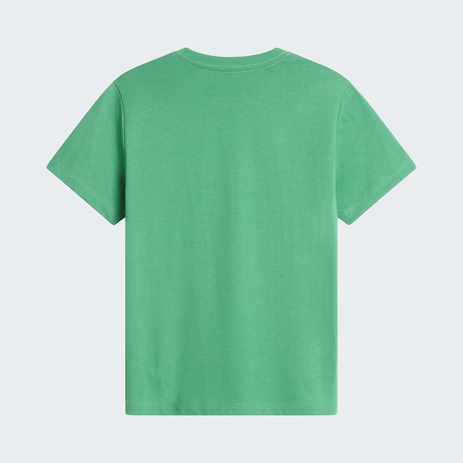 Dimmed Algae