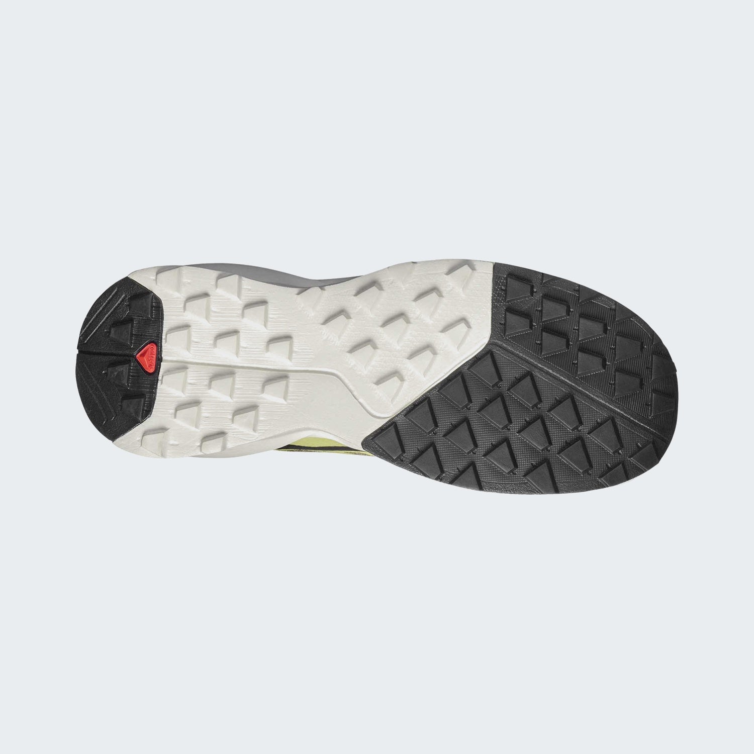Aloe/Endive/Black
