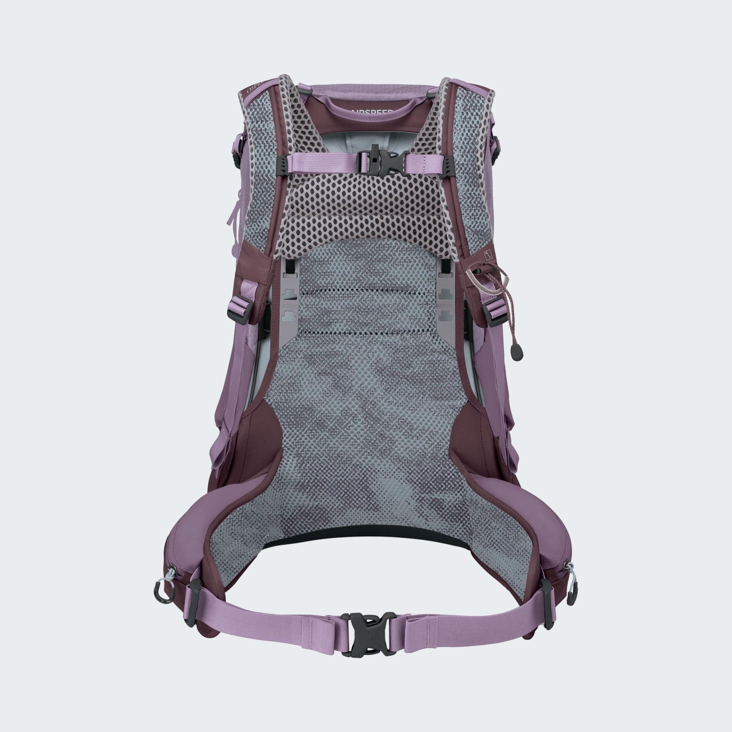 Purple Dusk
