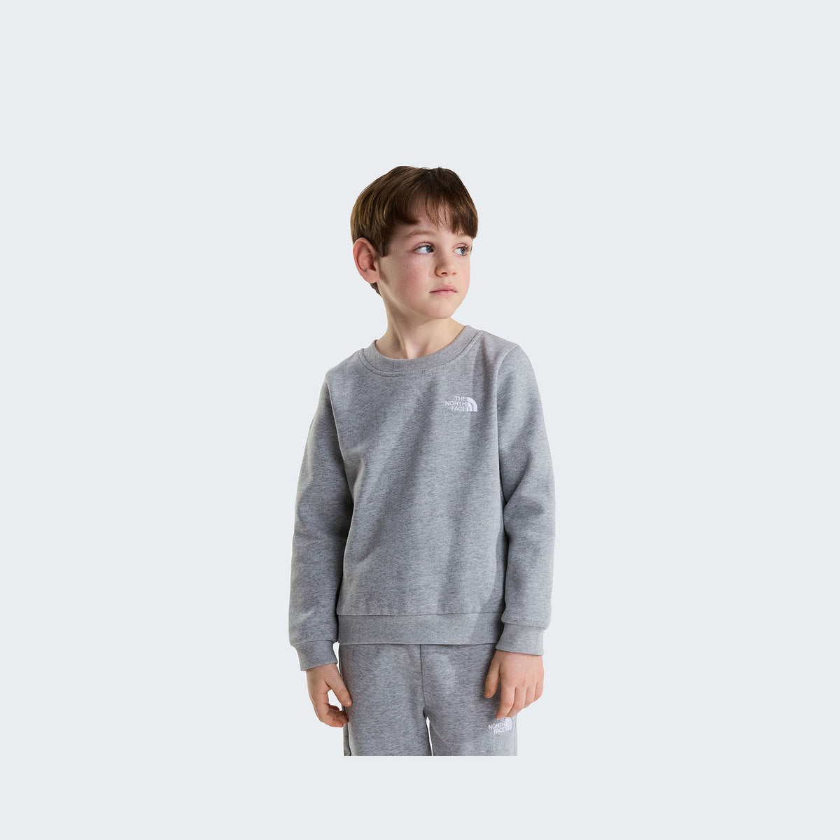 TNF Pale Grey Heather
