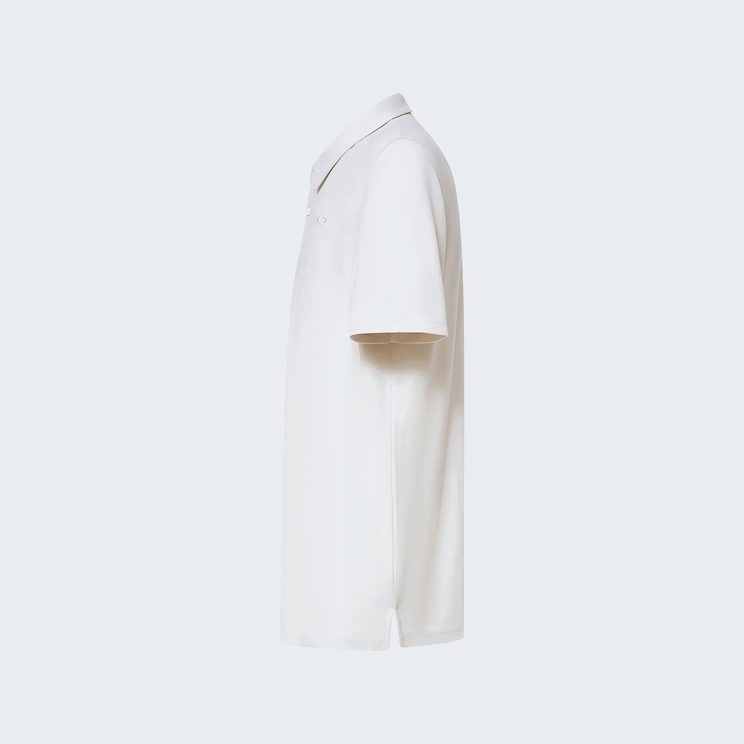 Mist