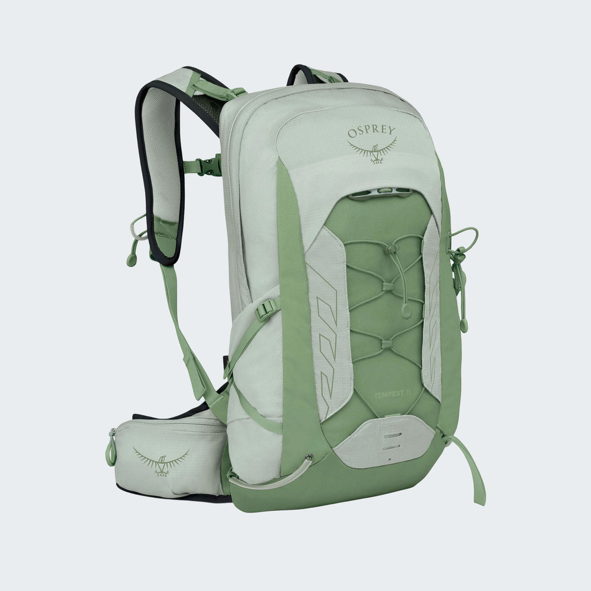 Frosty Mint Green/Botanica