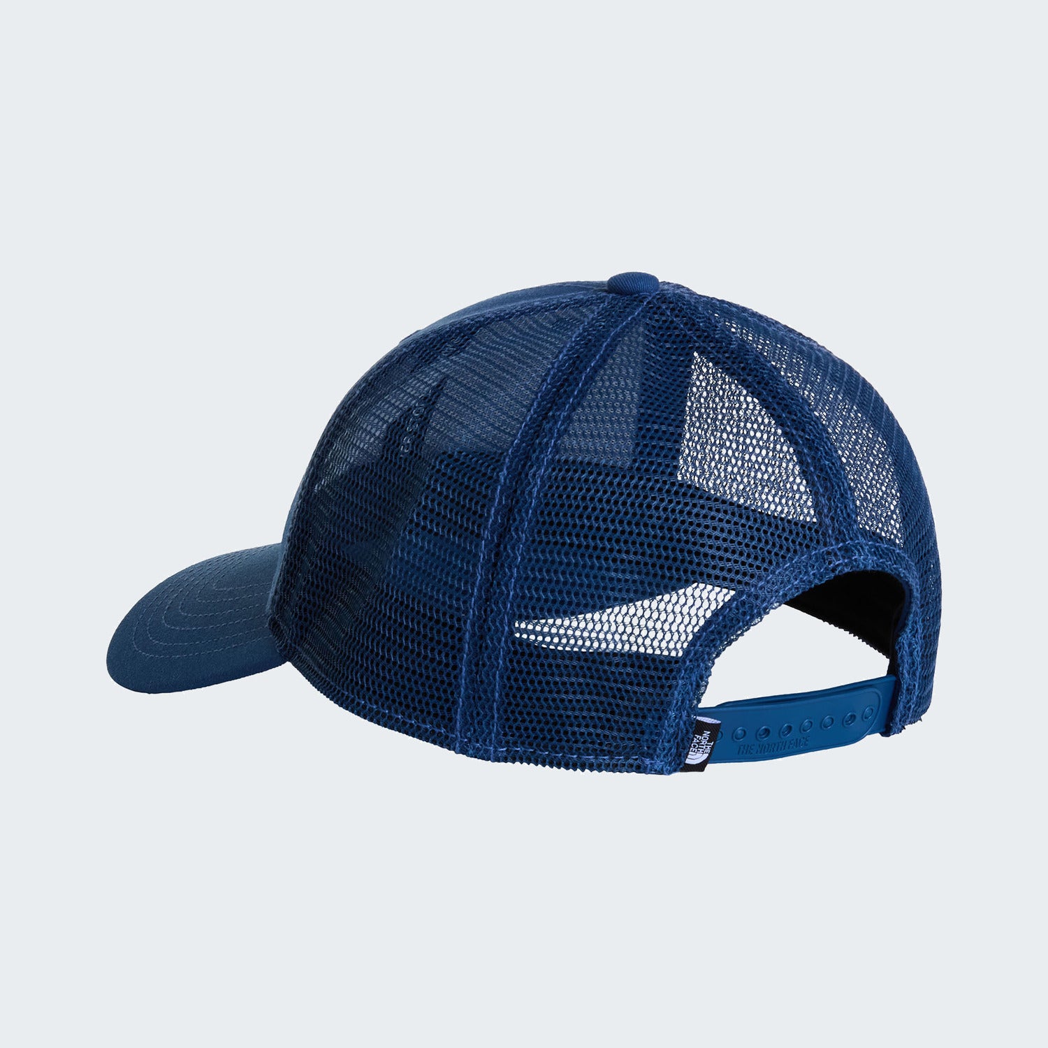 Shady Blue/Bear Graphic