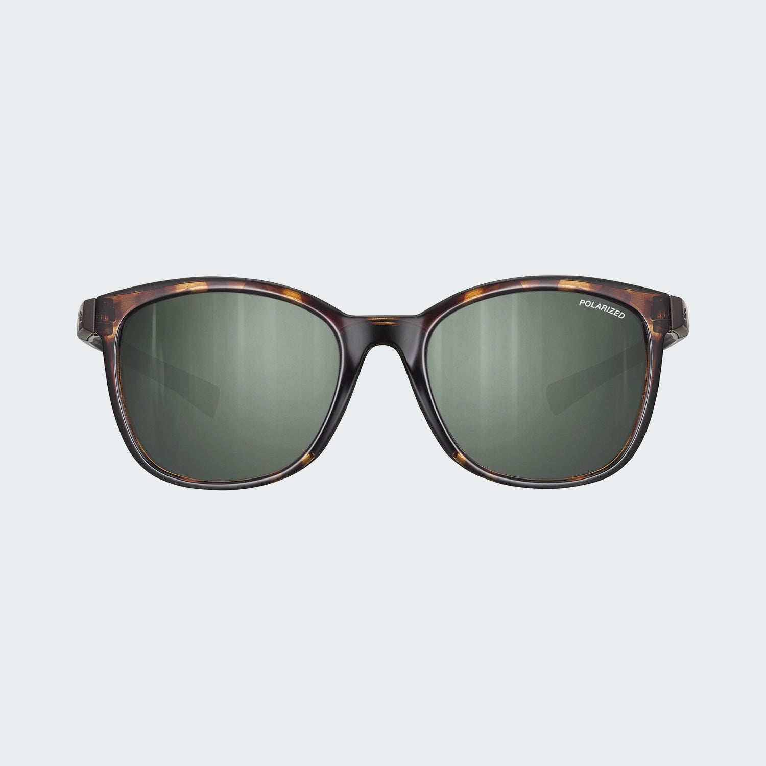 Shiny Tortoise Shell / Brown (Spectron Polarized 3)