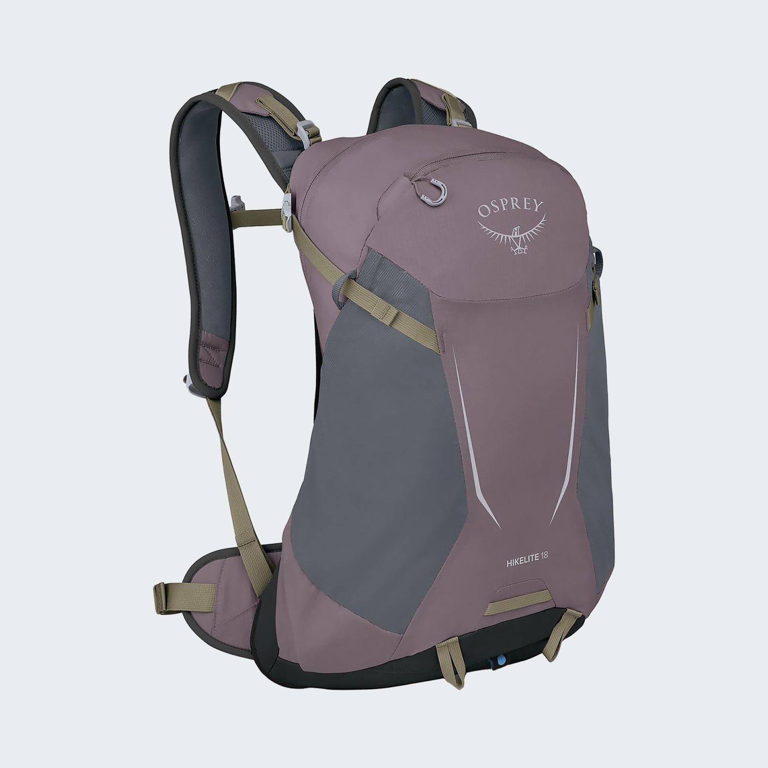 Graphite Purple