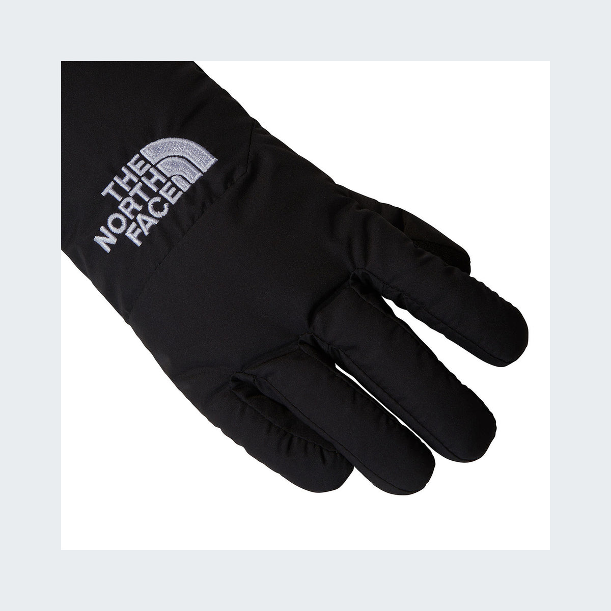 TNF Black