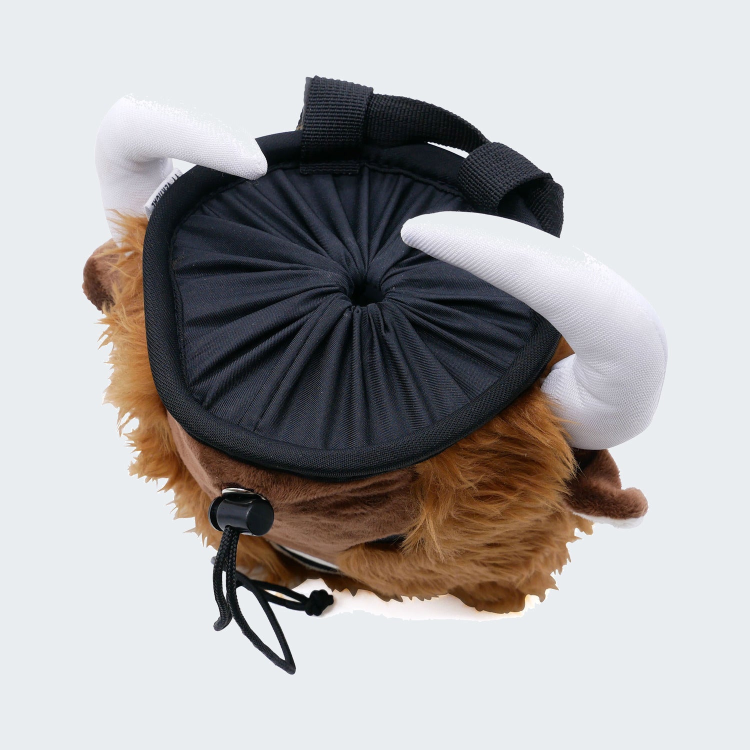 Bison