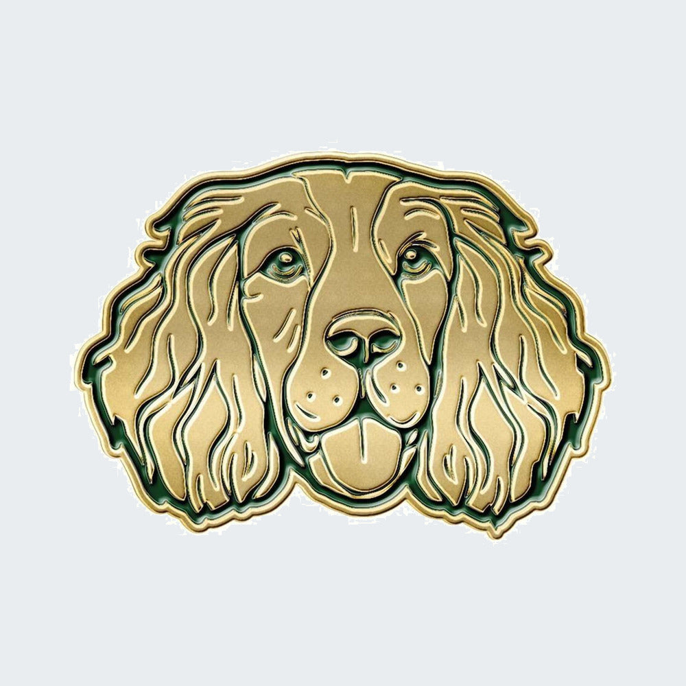 Spaniel