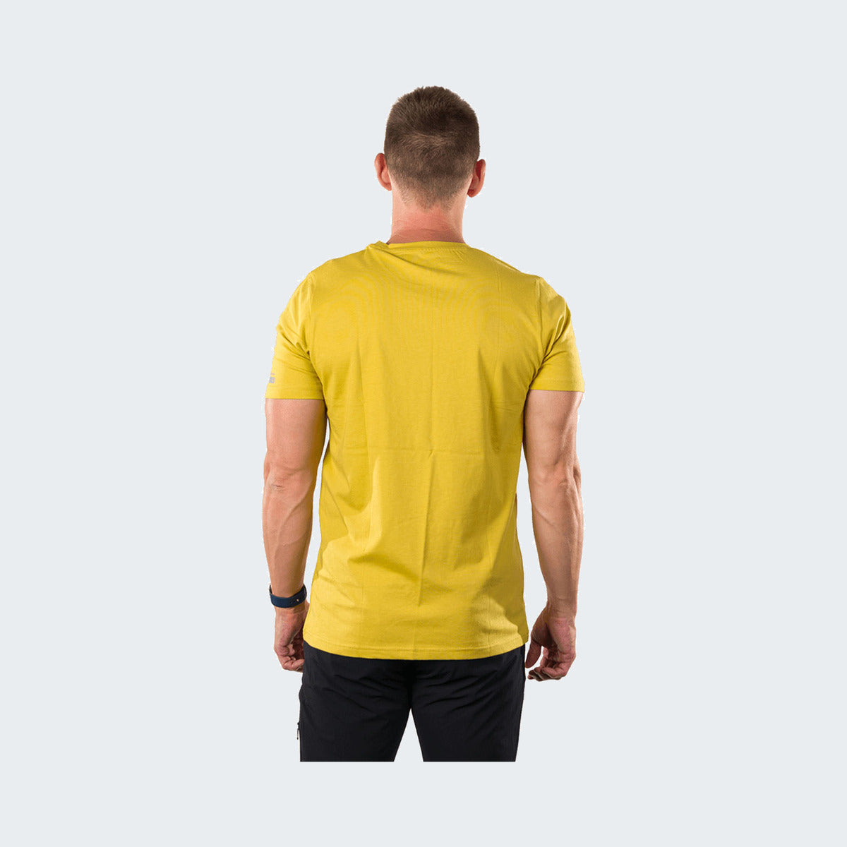 520 - Mustard