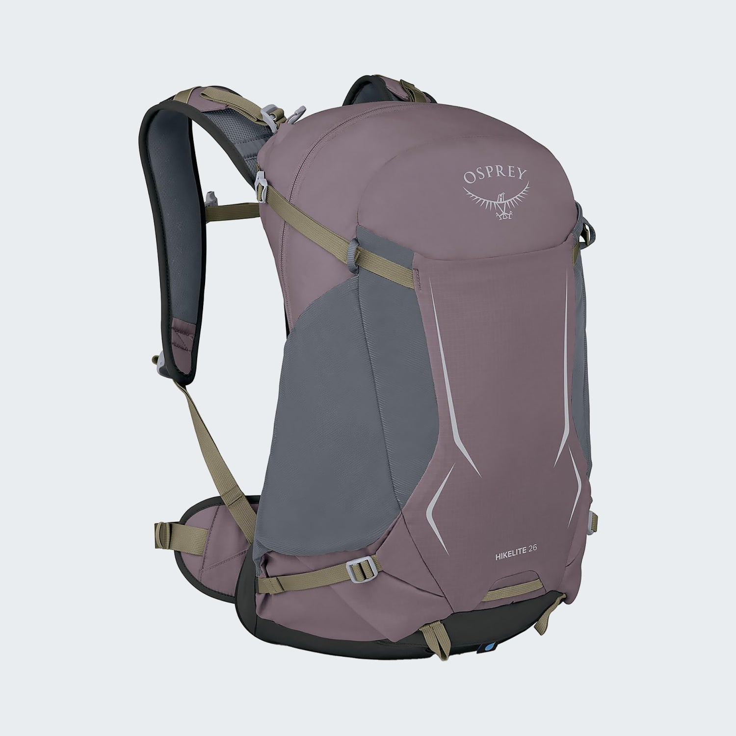 Graphite Purple