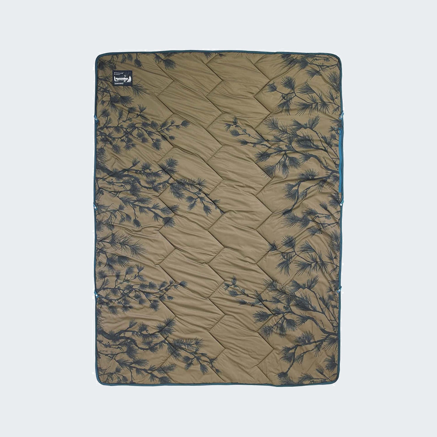 Peeking Pine Print