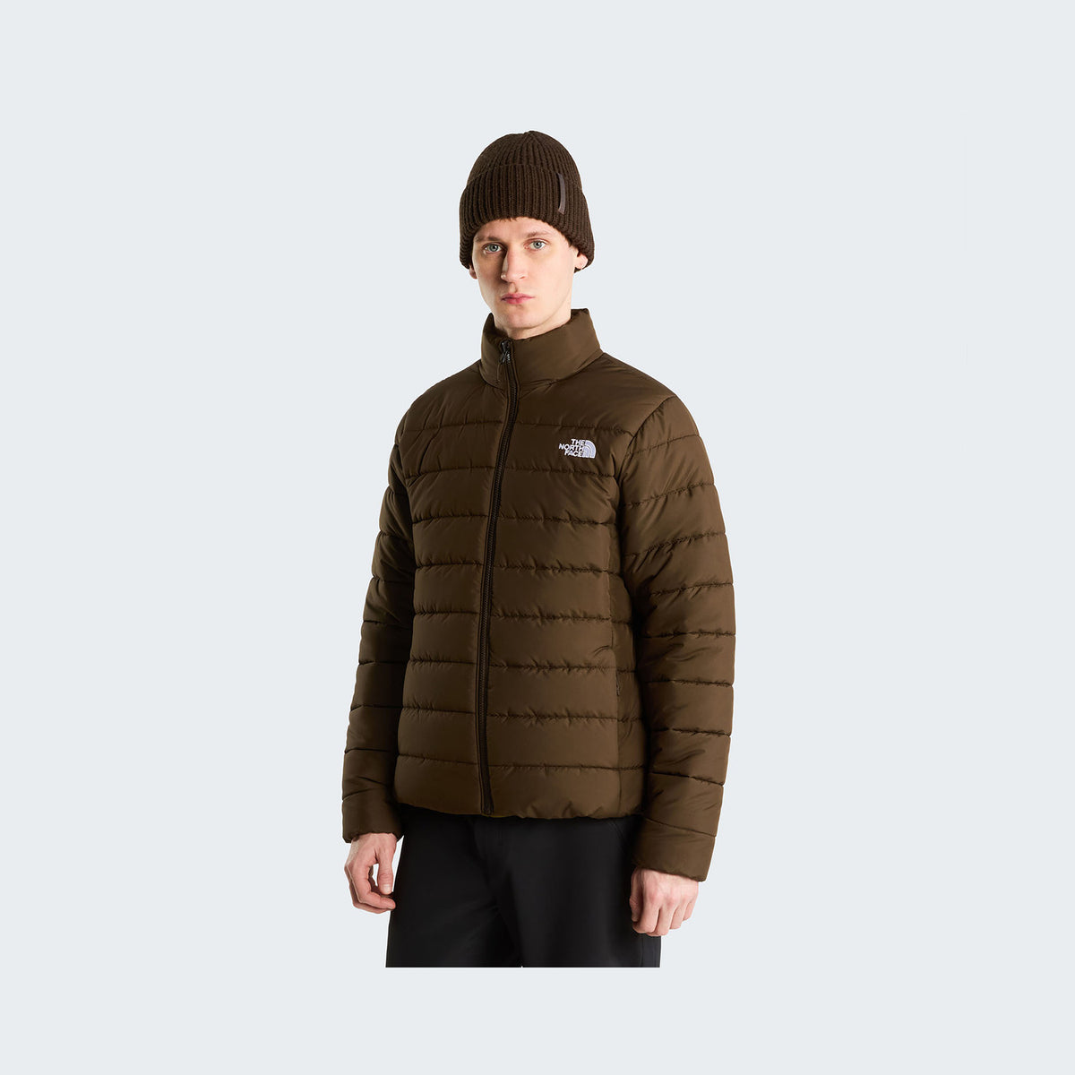 Dark Chestnut