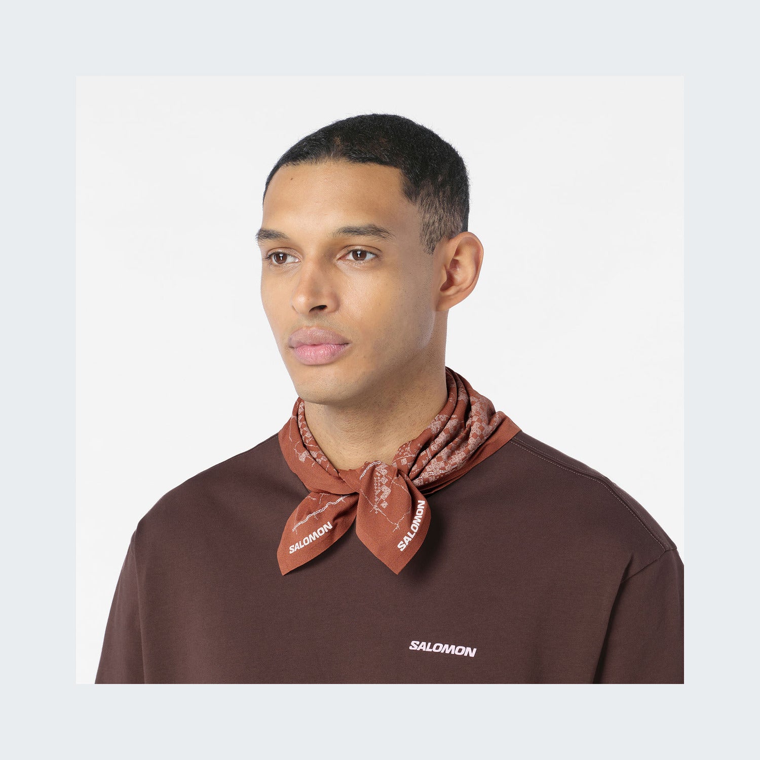 Burnt Umber/Antler