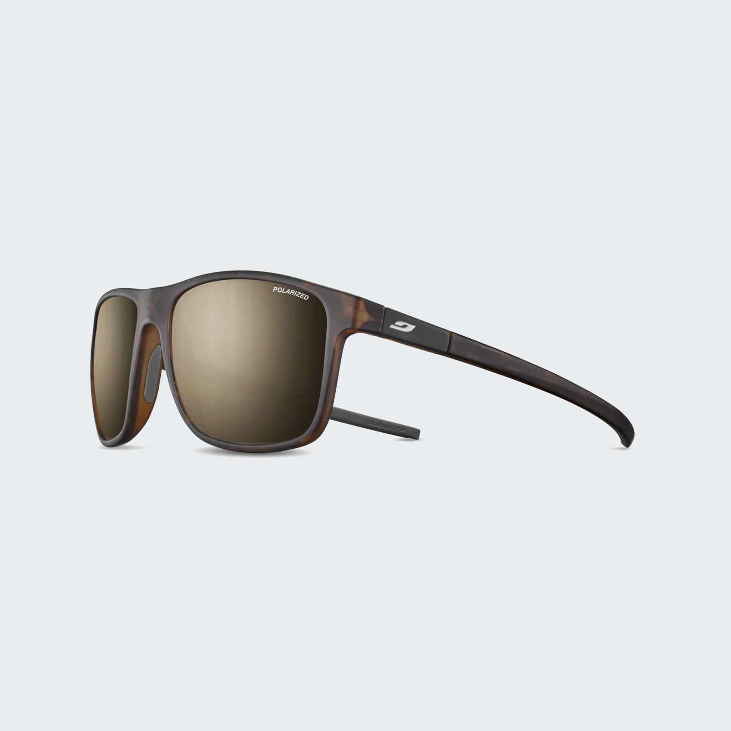 Tortoise Brown