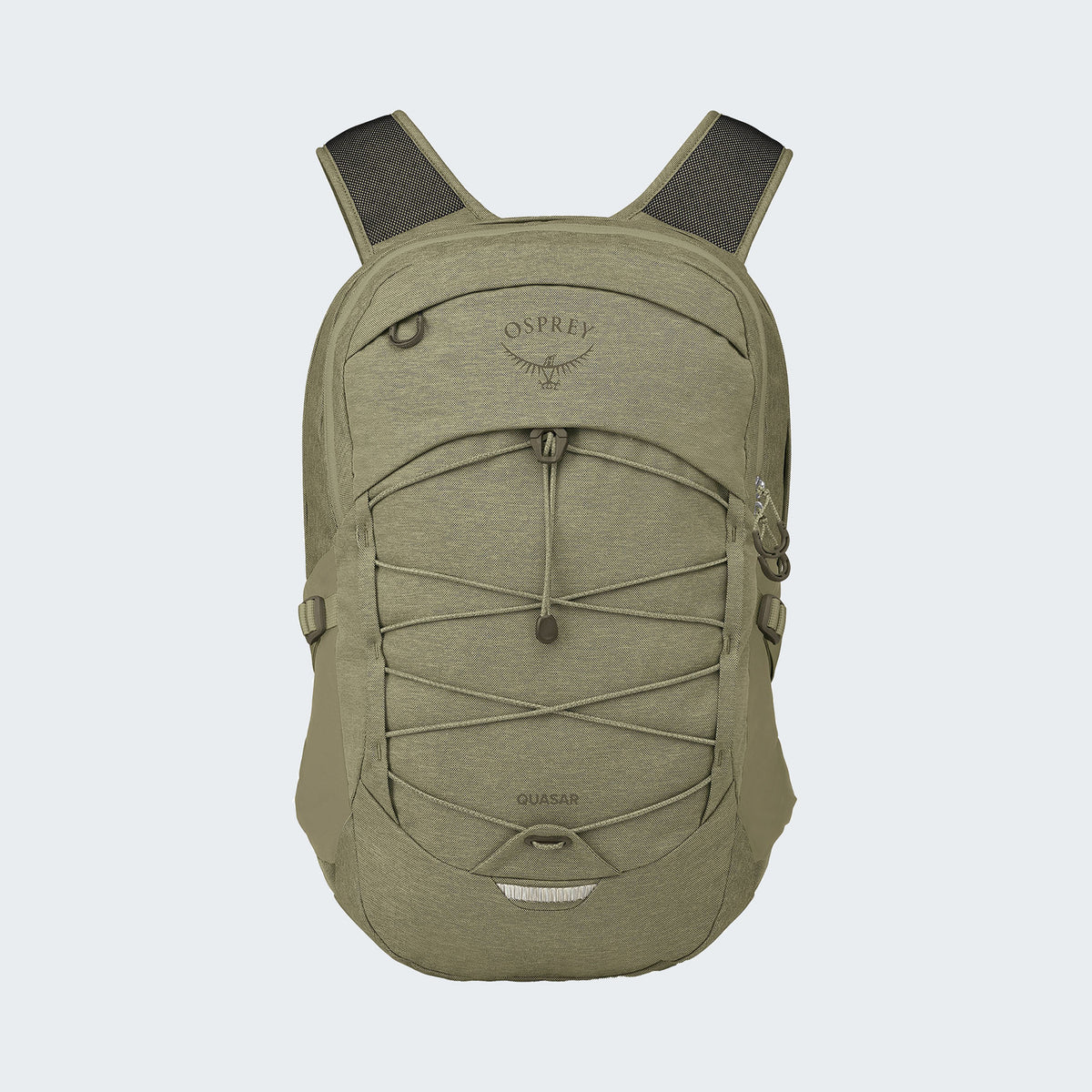 Olive Tan