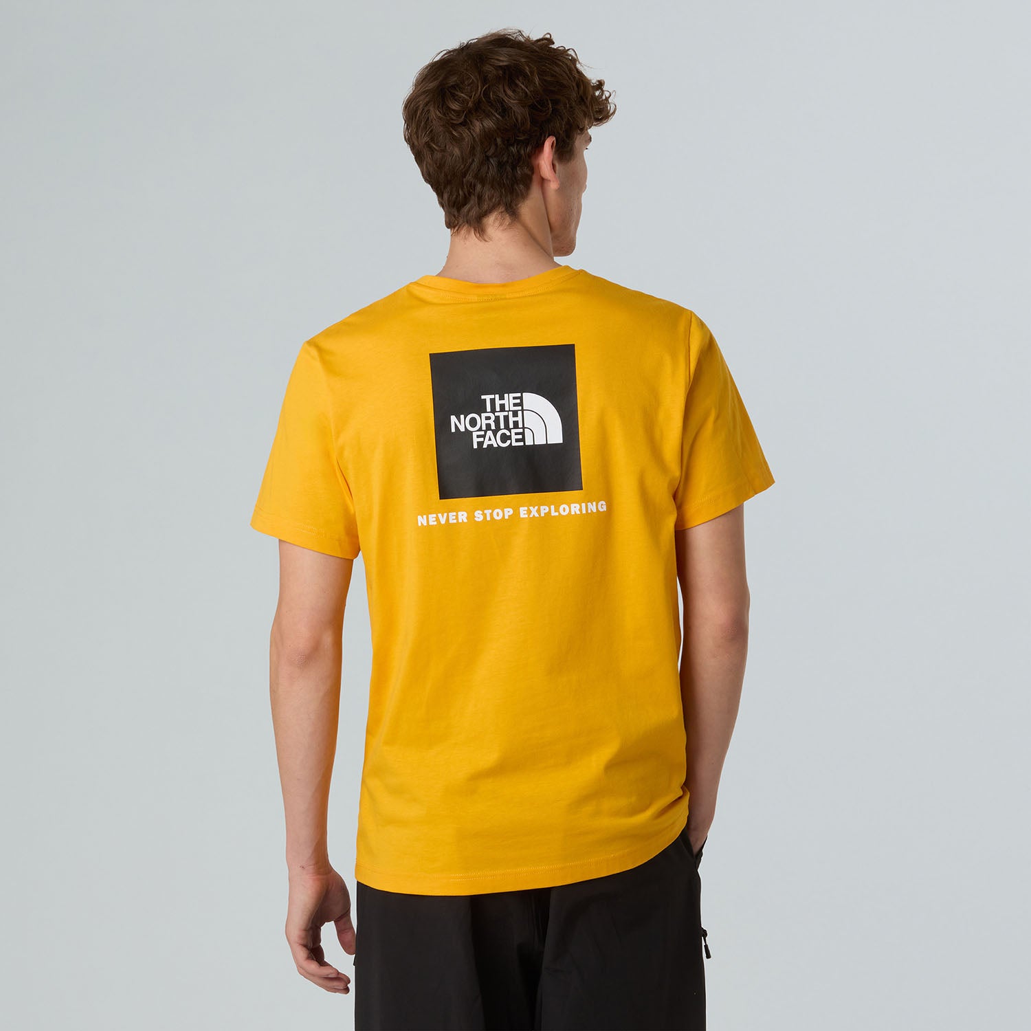 Summit Gold/TNF Black