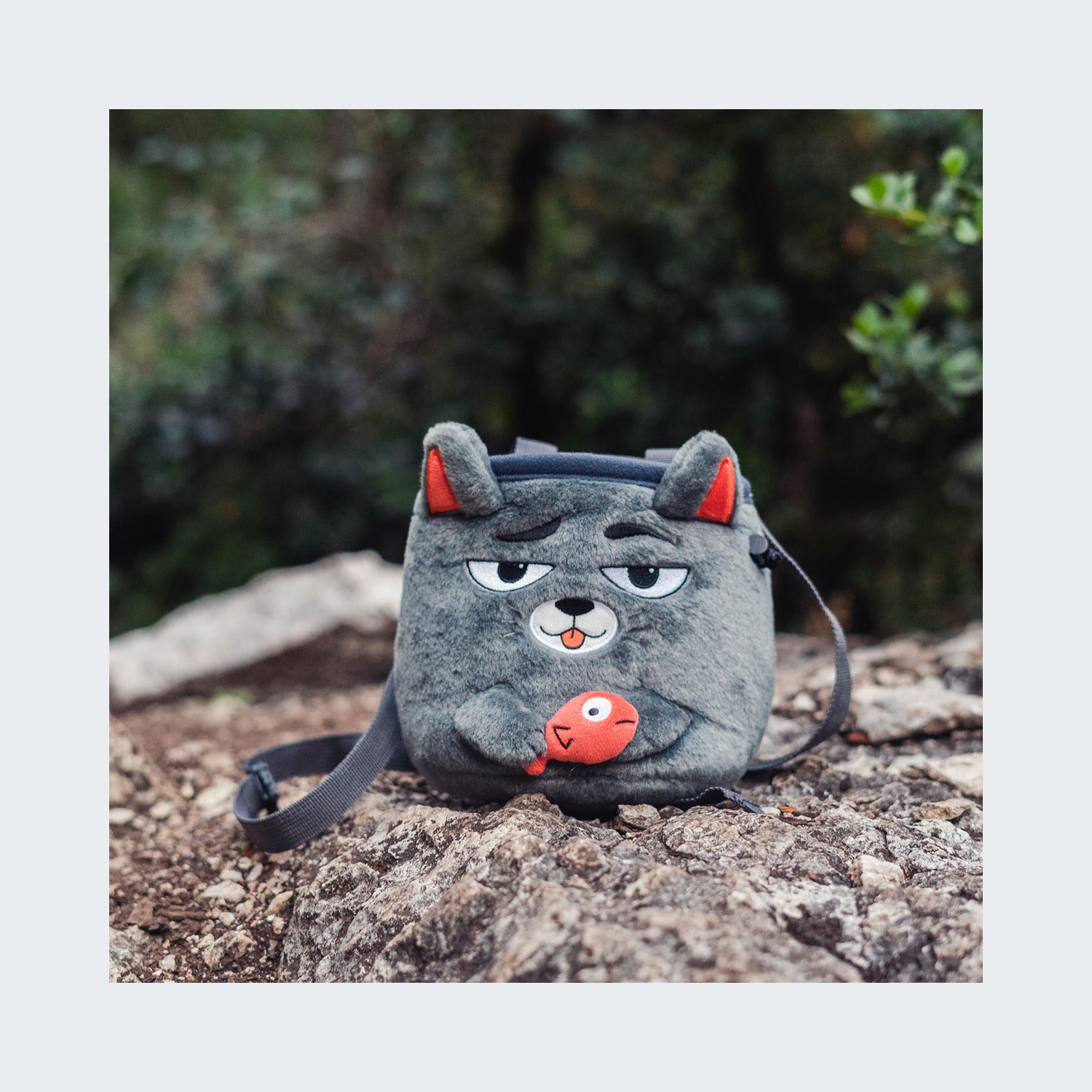 Grey Cat