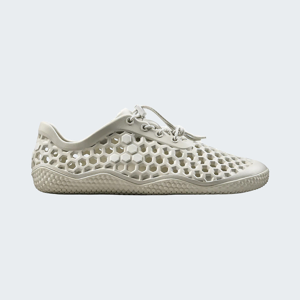 Lunar Rock