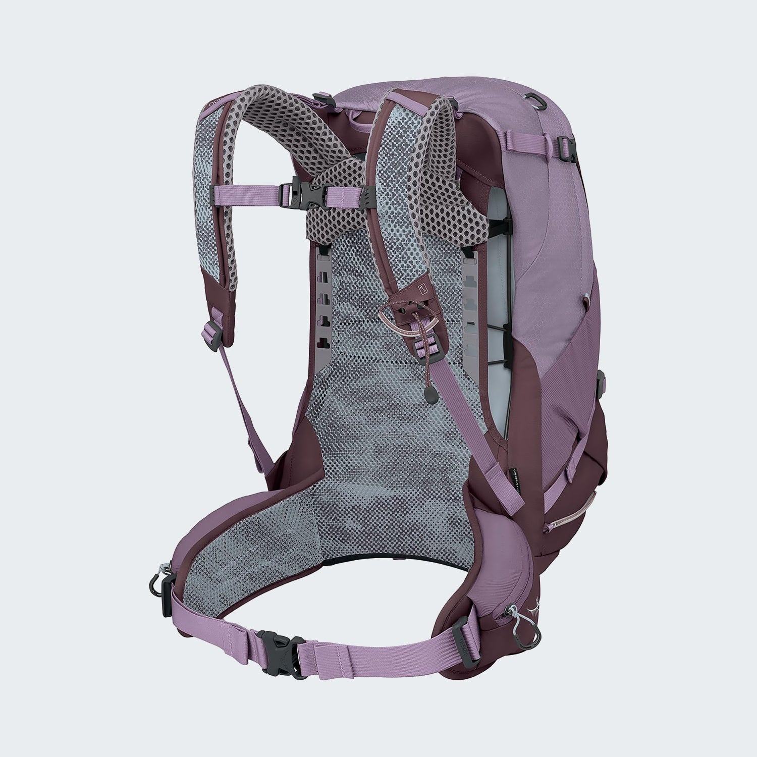 Purple Dusk