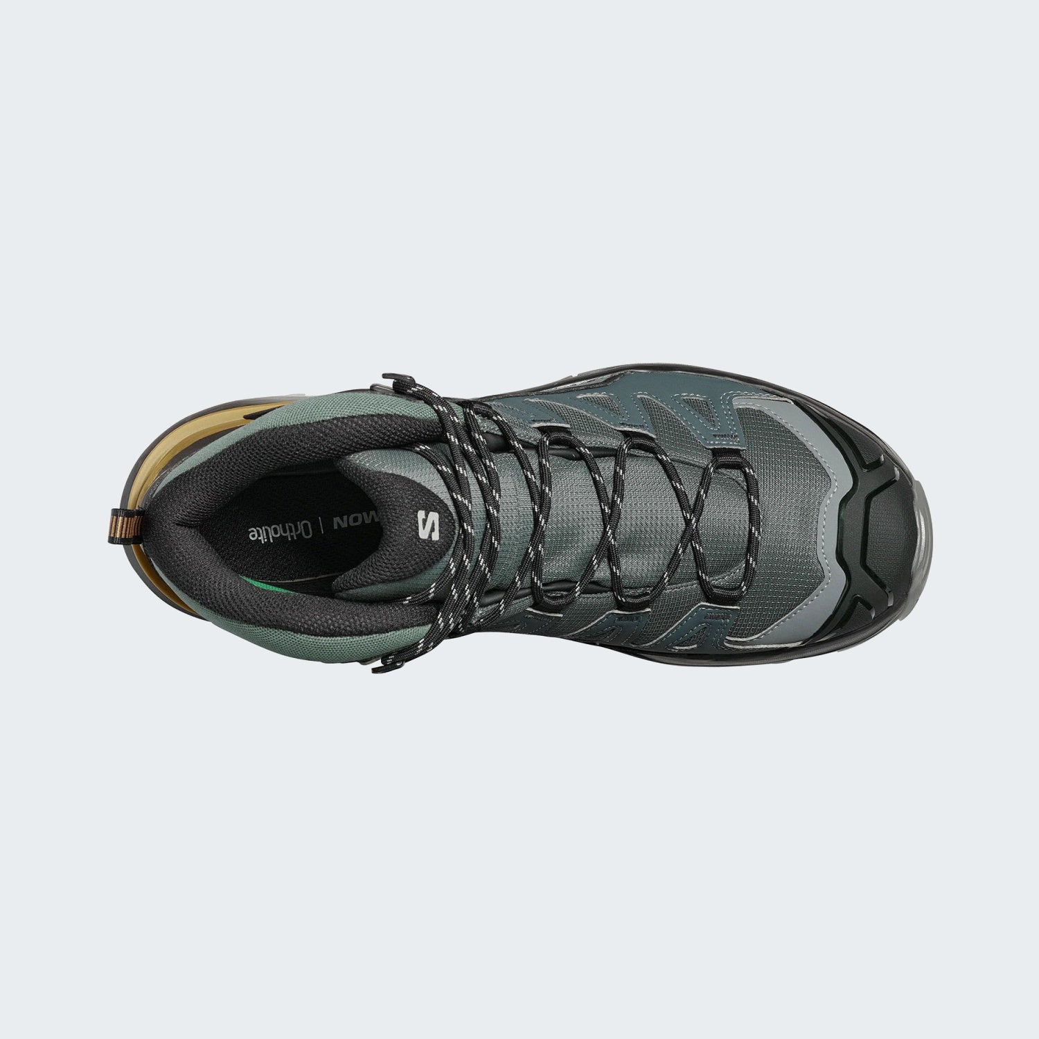 Urban Chic/Black/Brilliant Olive