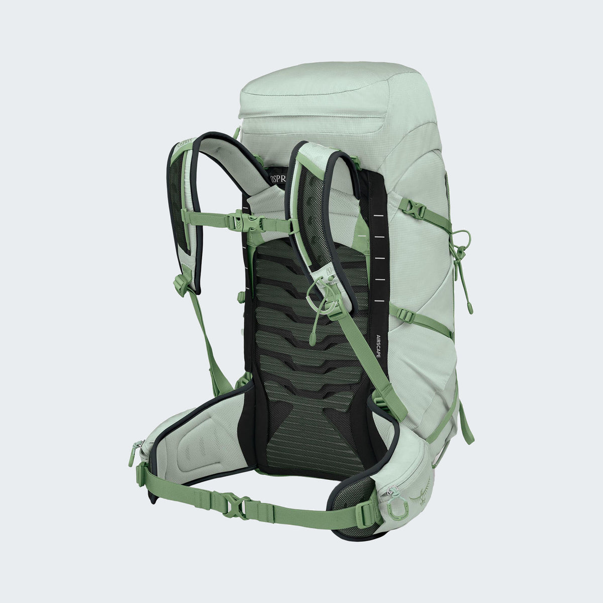 Frosty Mint Green/Botanica