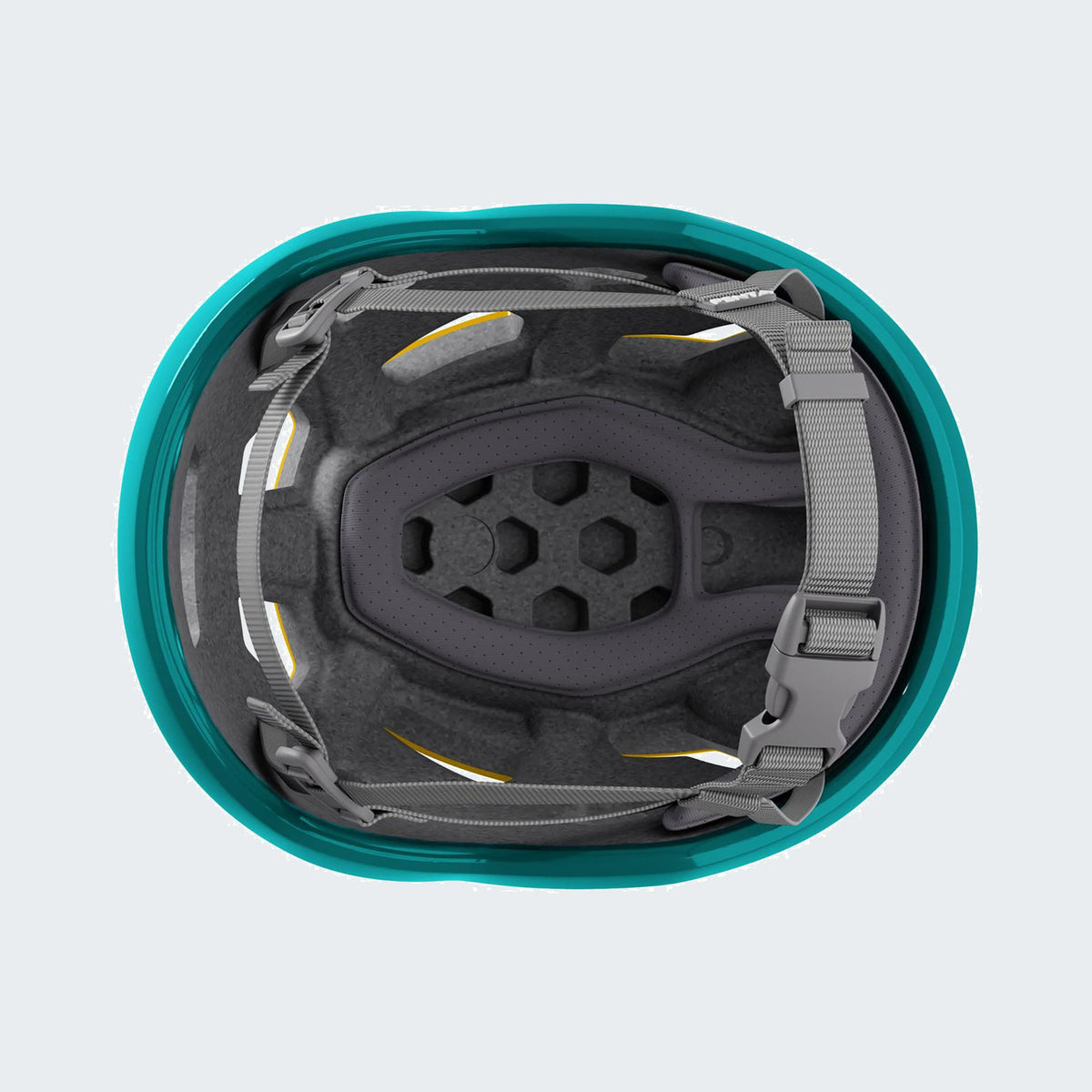 Arnica yellow / Dark teal